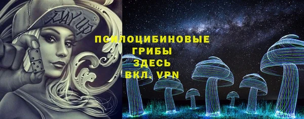 ПСИЛОЦИБИНОВЫЕ ГРИБЫ Лабытнанги