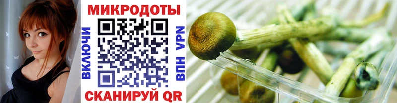 купить наркоту  Туран  Галлюциногенные грибы мухоморы 